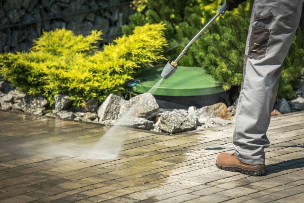 Professional  Pressure Washing Services in Rosemont, CA